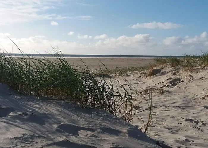 6 Person In Fano-by Traum *